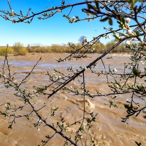 ВЕЛИКА ВОДА